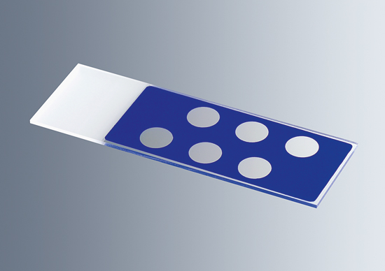 Microscope slides with reaction wells