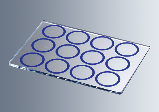 Glass plates with printed rings